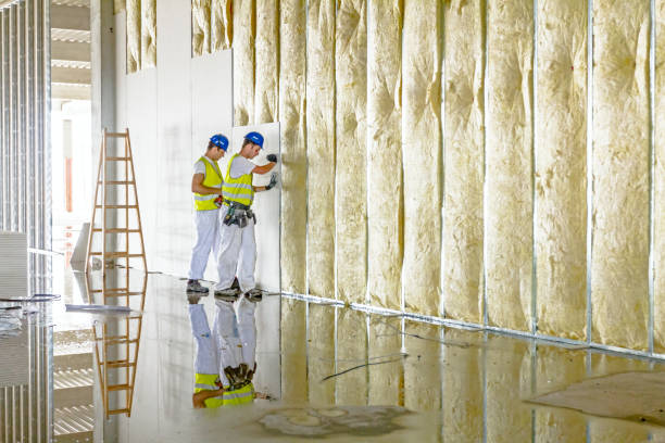 Best Commercial Insulation in Henrietta, TX